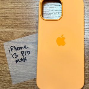 iPhone 13 Pro Max Single Case